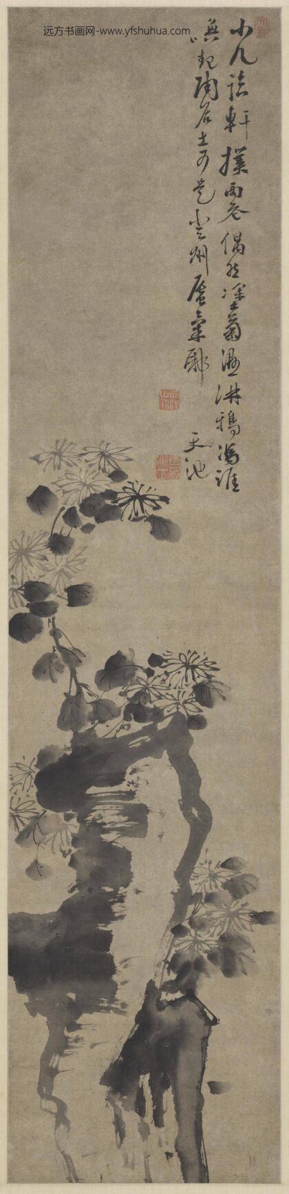 明徐渭菊石轴.jpg