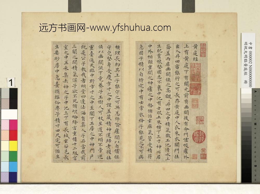 明祝允明临黄庭经册