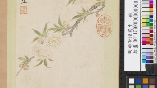 明项圣谟写生册碧桃花.jpg