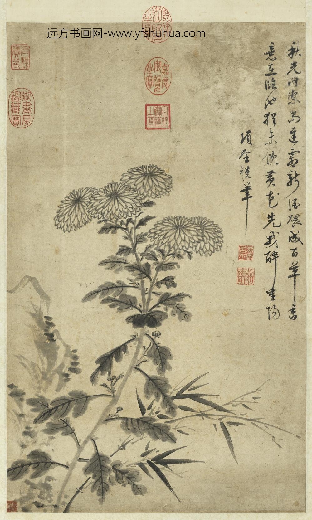 明项圣谟菊花竹石轴