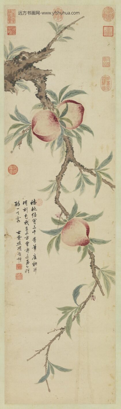 明项圣谟蟠桃图轴.jpg