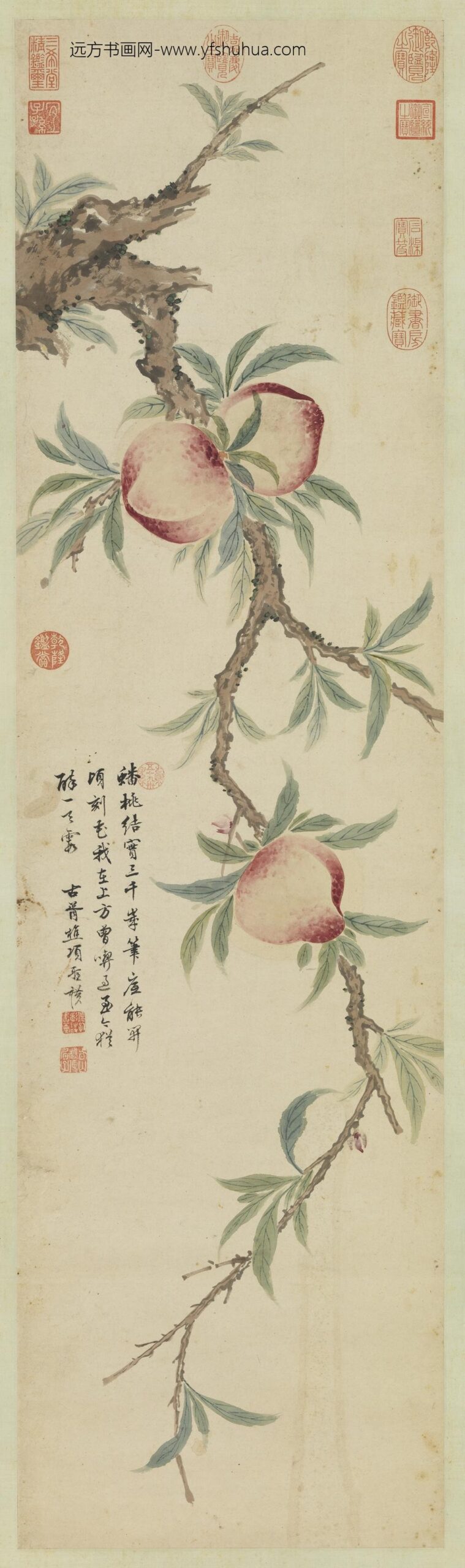 明项圣谟蟠桃图轴