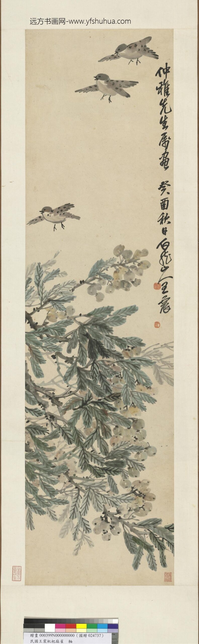 民国王震枇杷麻雀轴民国王震枇杷麻雀轴