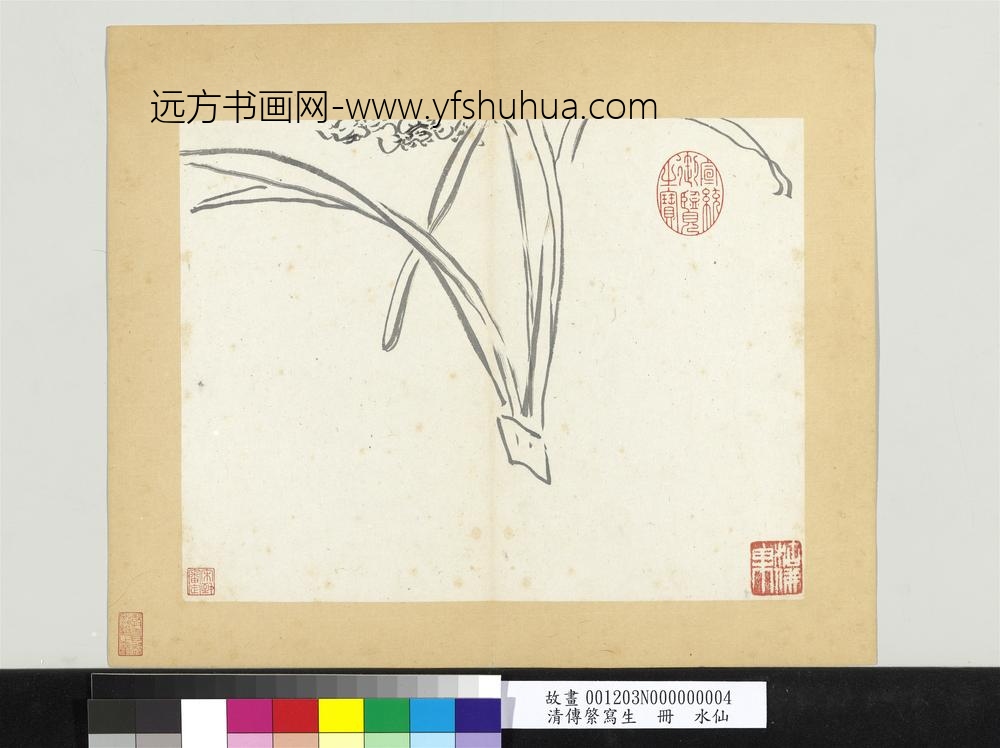清传綮写生册水仙