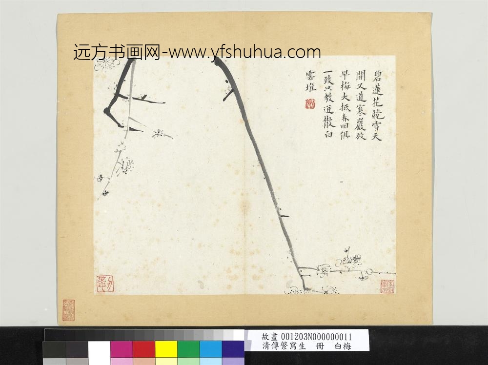 清传綮写生册白梅