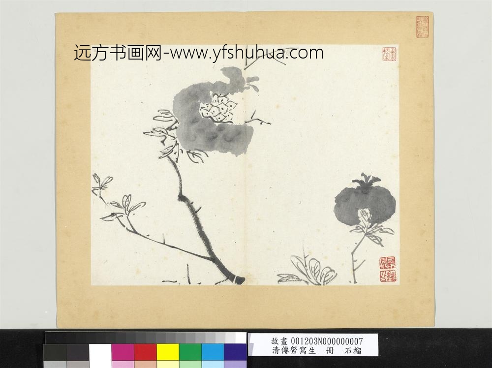 清传綮写生册石榴