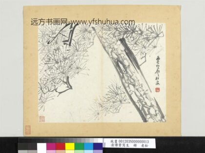 清传綮写生册老松.jpg