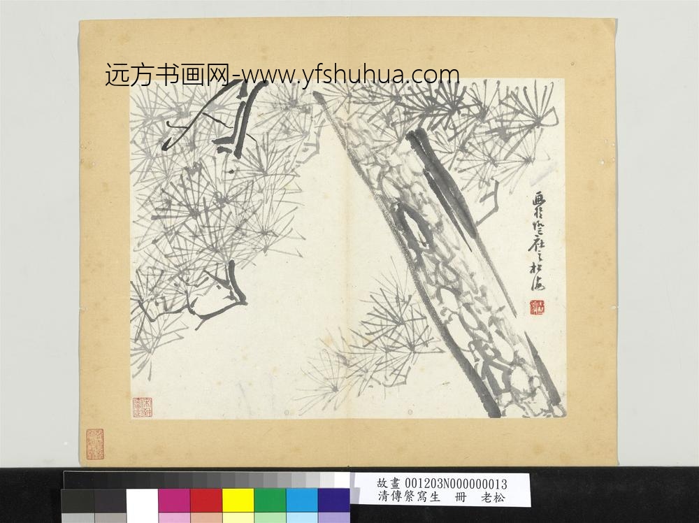 清传綮写生册老松