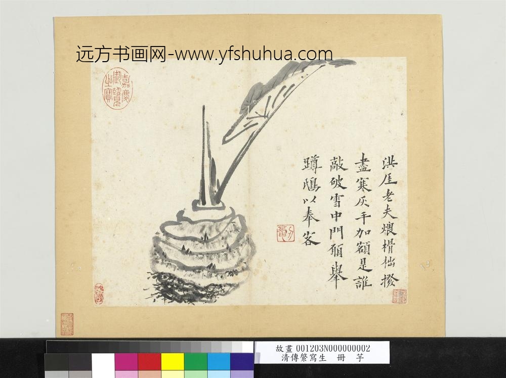 清传綮写生册芋