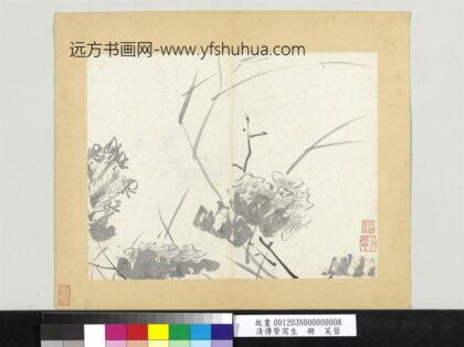 清传綮写生册芙蓉.jpg