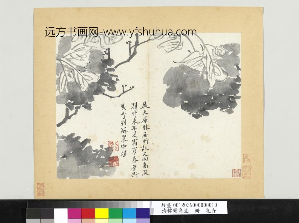 清传綮写生册花卉