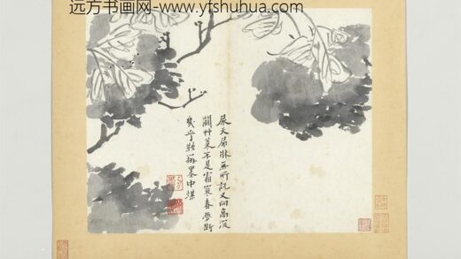 清传綮写生册花卉.jpg