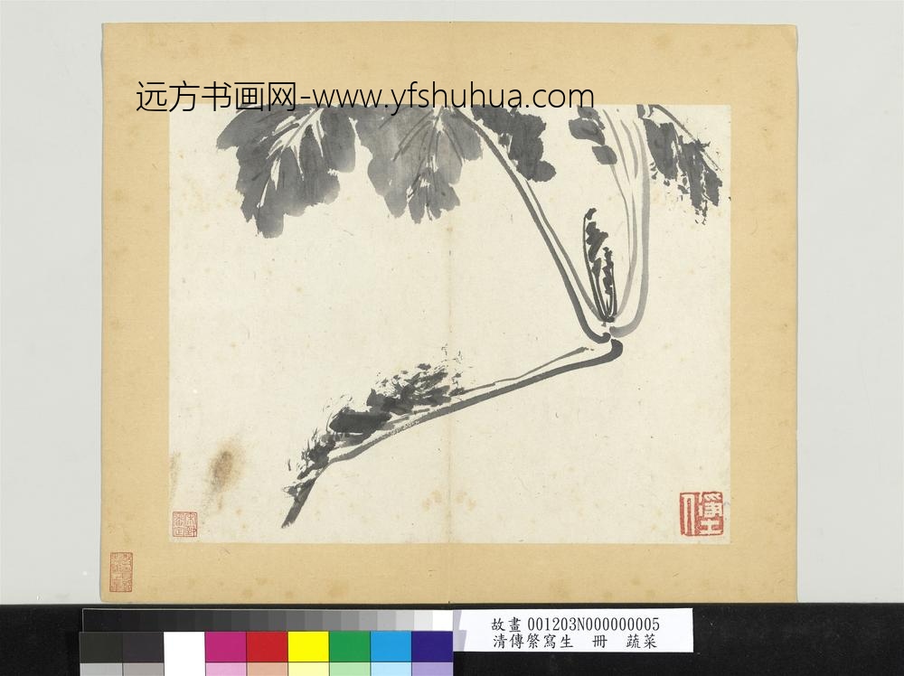 清传綮写生册蔬菜
