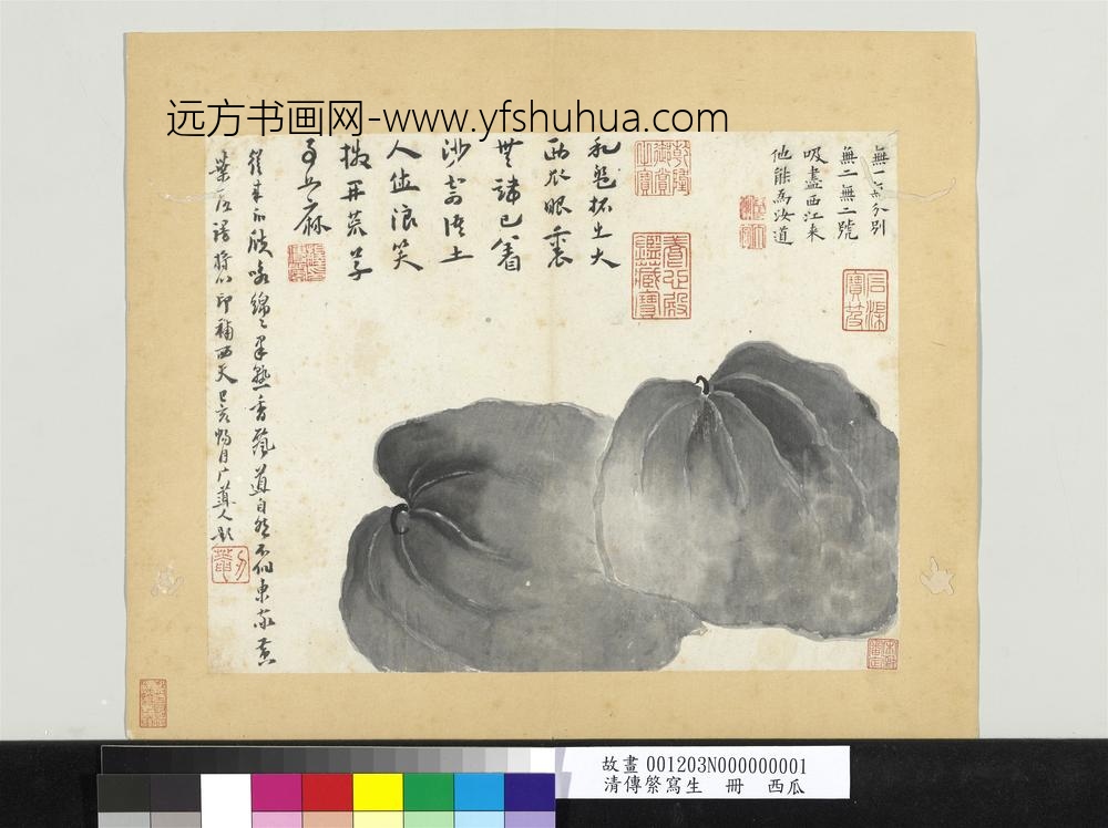 清传綮写生册西瓜