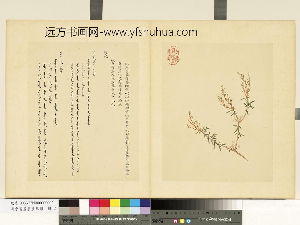 清余省画嘉产荐馨册排草香