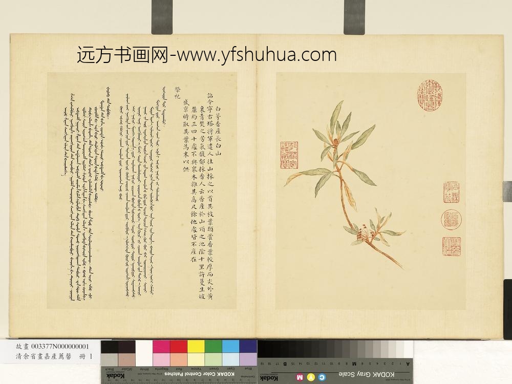 清余省画嘉产荐馨册白茅香