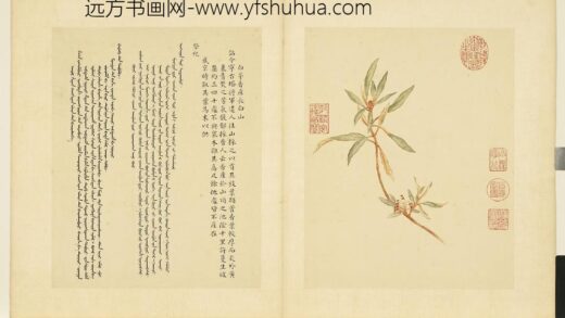 清余省画嘉产荐馨册白茅香.jpg
