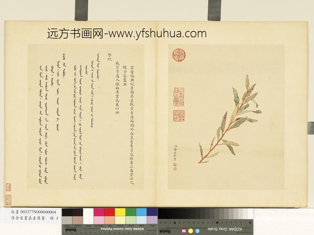 清余省画嘉产荐馨册芸香