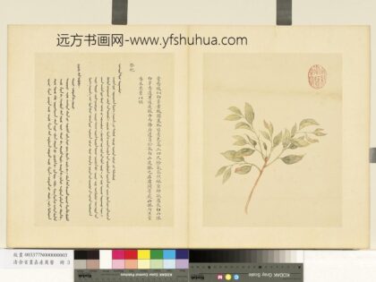 清余省画嘉产荐馨册藿香.jpg