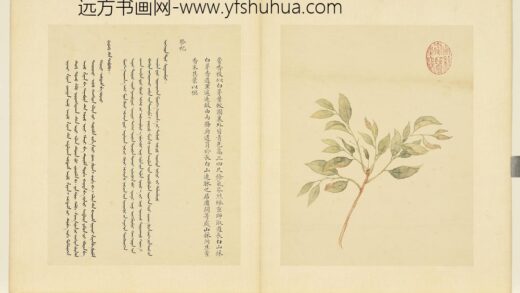 清余省画嘉产荐馨册藿香.jpg