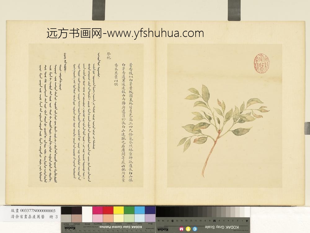 清余省画嘉产荐馨册藿香