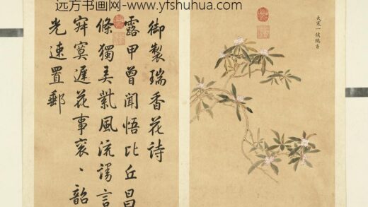 清余省画墨妙珠林（子）册大寒一候瑞香.jpg