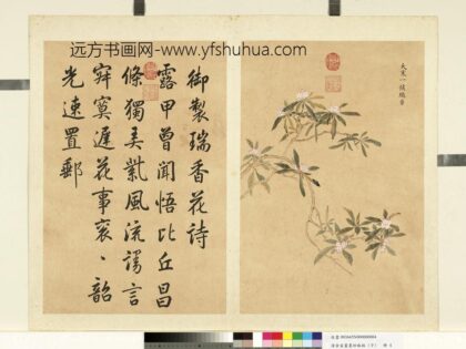 清余省画墨妙珠林（子）册大寒一候瑞香.jpg
