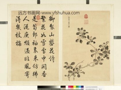 清余省画墨妙珠林（子）册大寒三候山矾.jpg