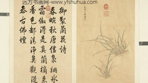 清余省画墨妙珠林（子）册大寒二候兰花.jpg