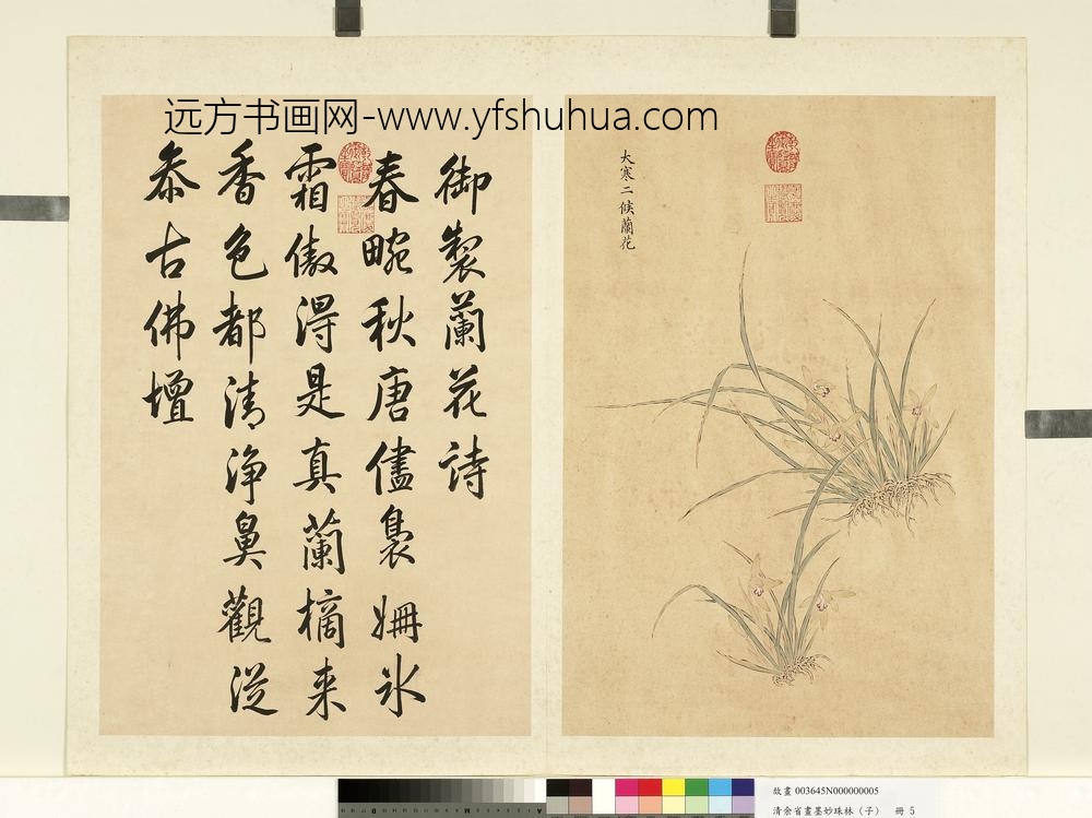 清余省画墨妙珠林（子）册大寒二候兰花