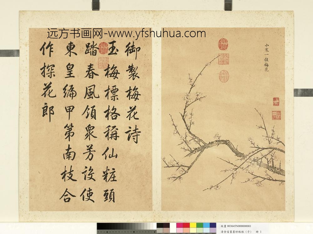 清余省画墨妙珠林（子）册小寒一候梅花