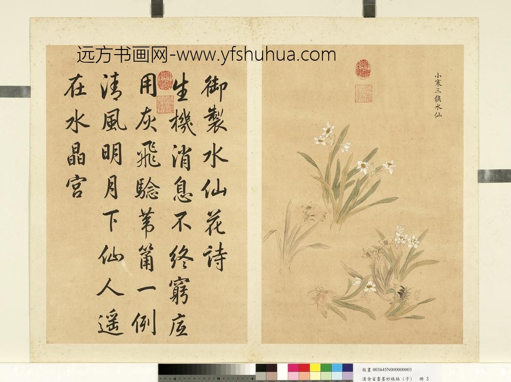 清余省画墨妙珠林（子）册小寒三候水仙