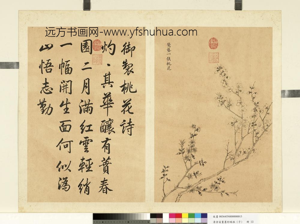 清余省画墨妙珠林（子）册惊蛰一候桃花