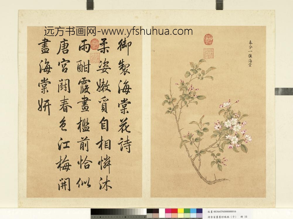 清余省画墨妙珠林（子）册春分一候海棠