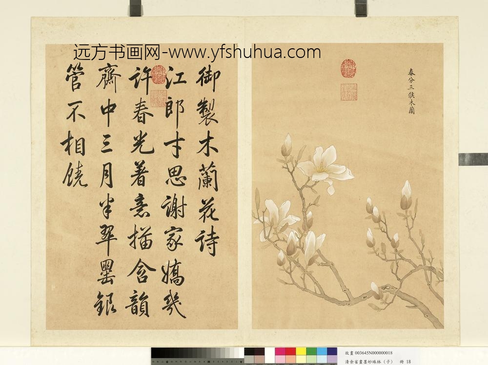 清余省画墨妙珠林（子）册春分三候木兰