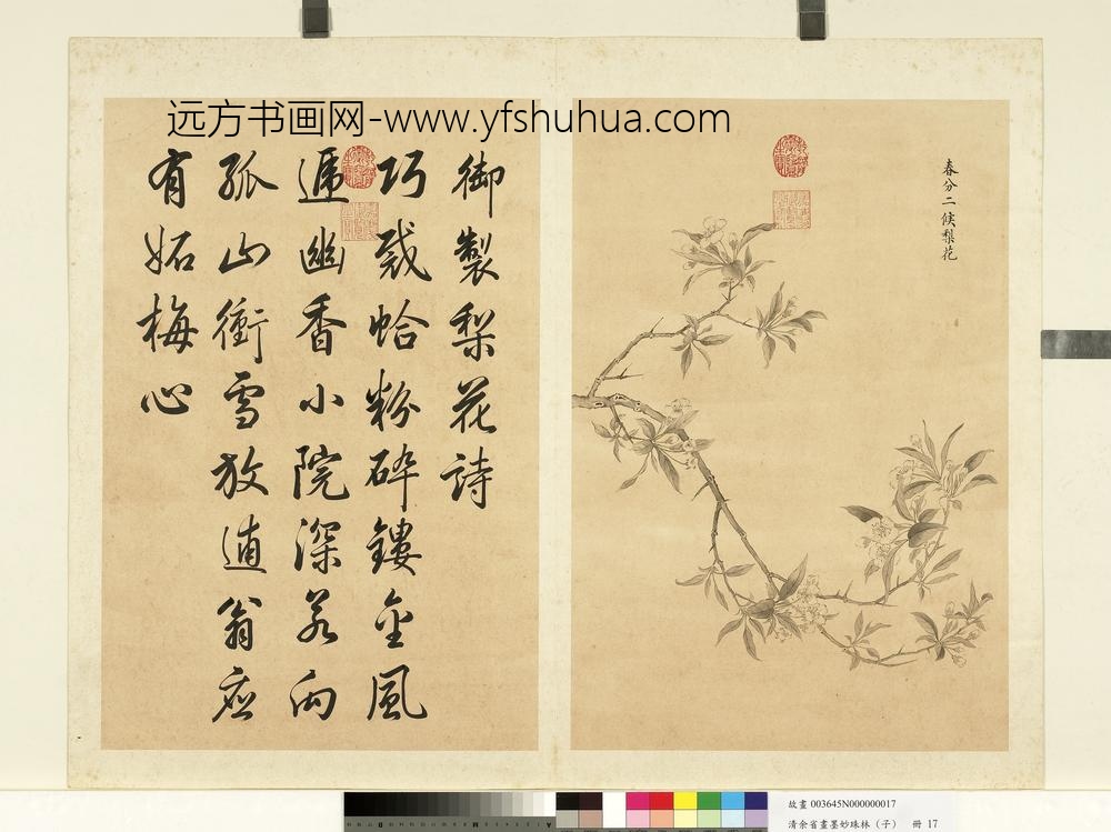 清余省画墨妙珠林（子）册春分二候梨花