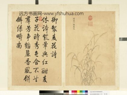 清余省画墨妙珠林（子）册清明二候麦花.jpg
