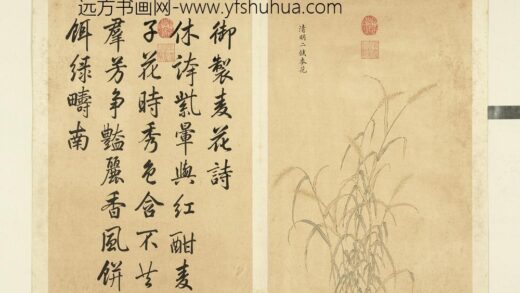 清余省画墨妙珠林（子）册清明二候麦花.jpg