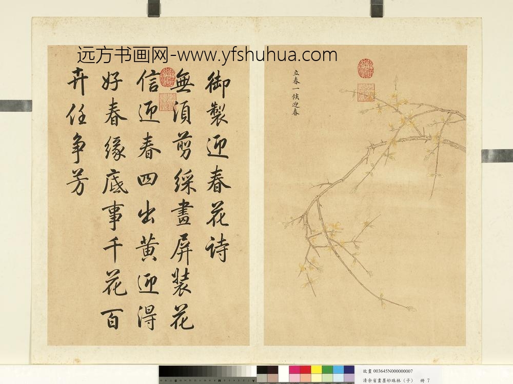 清余省画墨妙珠林（子）册立春一候迎春