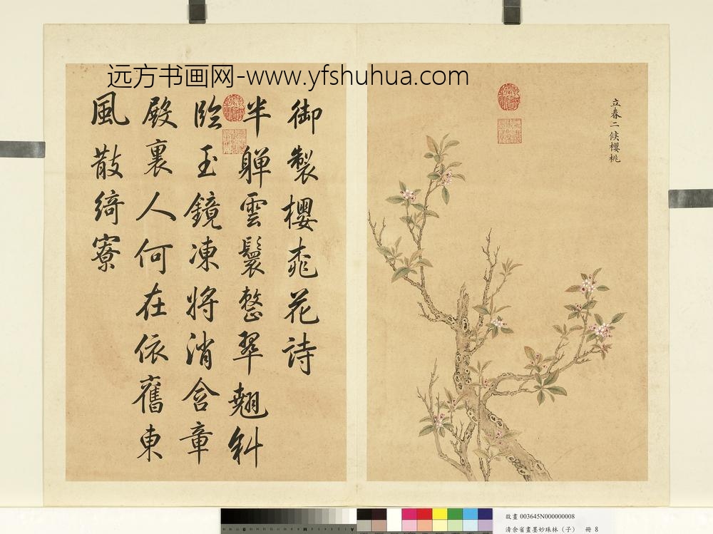 清余省画墨妙珠林（子）册立春二候樱桃