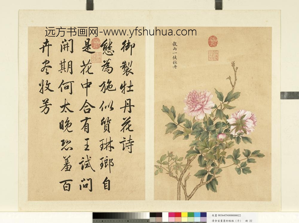 清余省画墨妙珠林（子）册谷雨一候牡丹