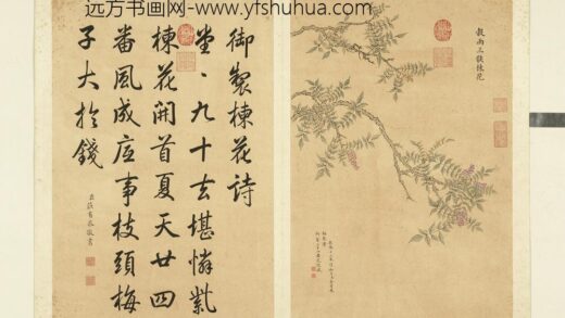 清余省画墨妙珠林（子）册谷雨三候楝花.jpg