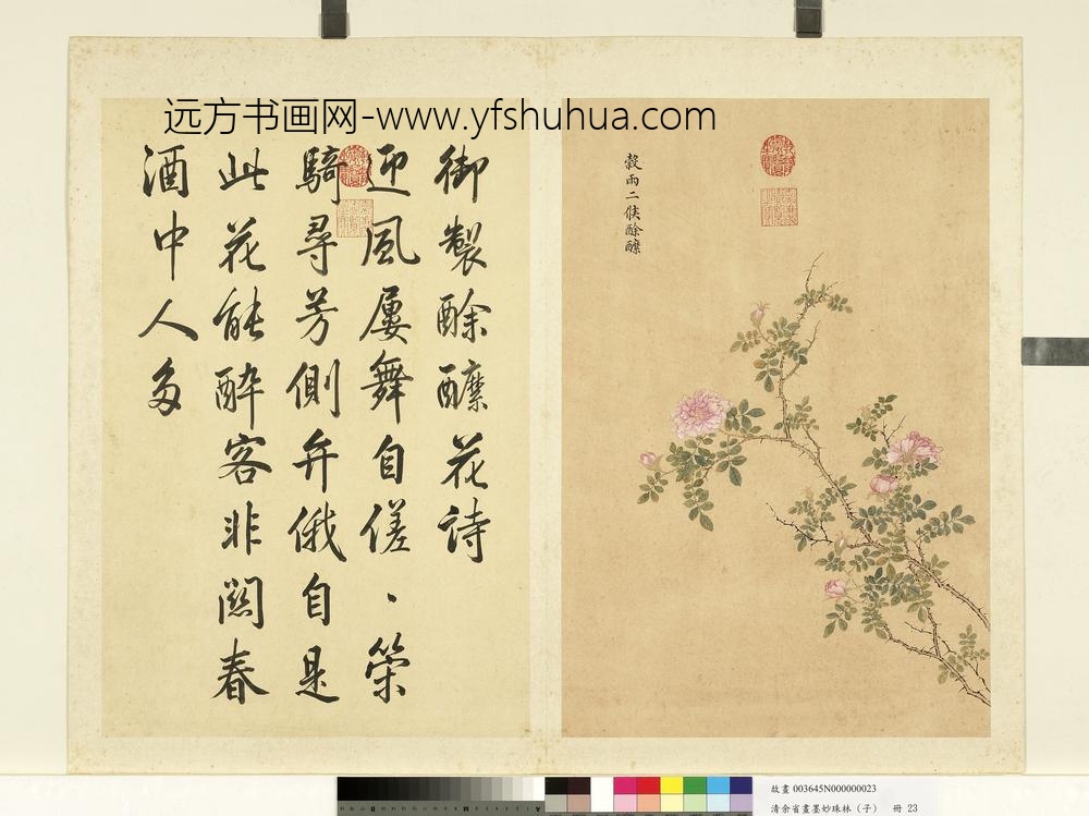 清余省画墨妙珠林（子）册谷雨二候酴醾