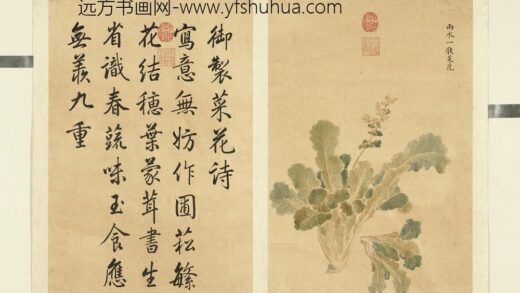清余省画墨妙珠林（子）册雨水一候菜花.jpg