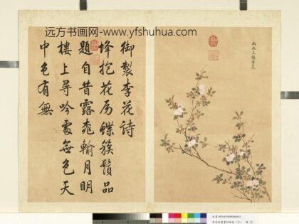 清余省画墨妙珠林（子）册雨水三候李花.jpg