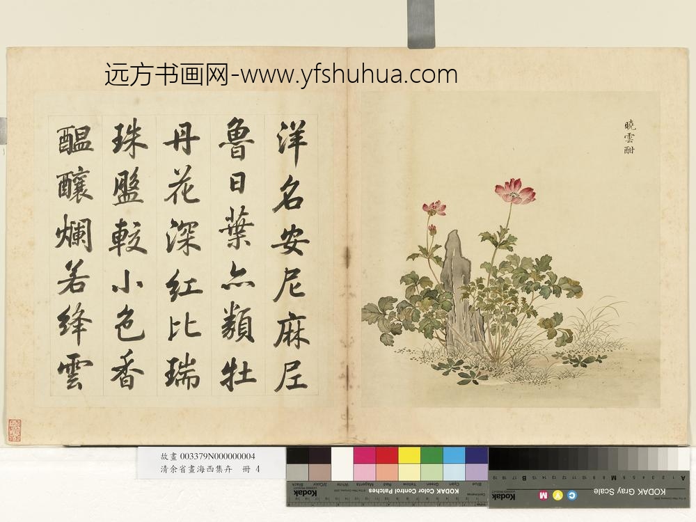 清余省画海西集卉册晓云酣