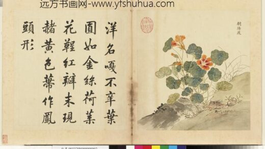 清余省画海西集卉册朝阳凤.jpg