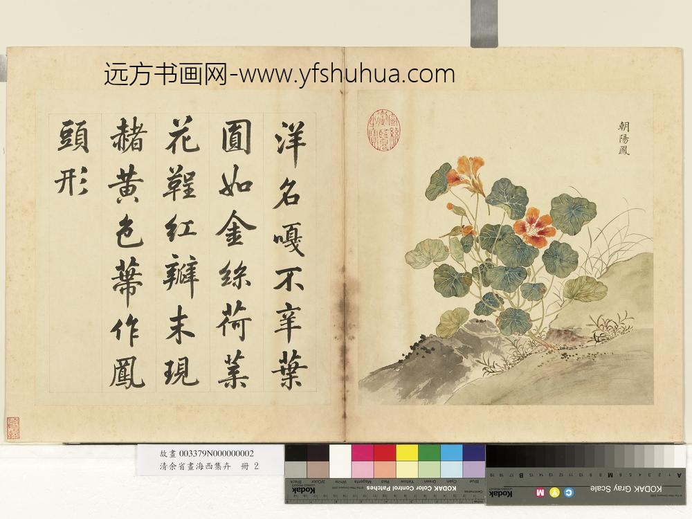 清余省画海西集卉册朝阳凤