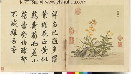 清余省画海西集卉册檀罗结.jpg