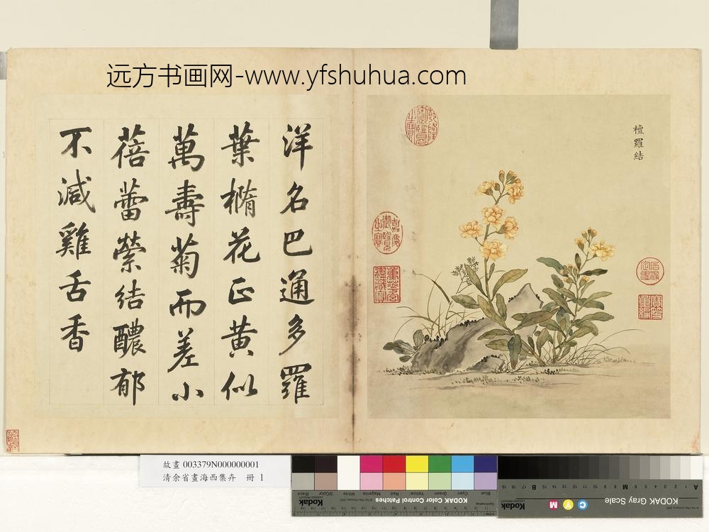 清余省画海西集卉册檀罗结